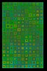 EDN-Neuro_050309_010647.JPG